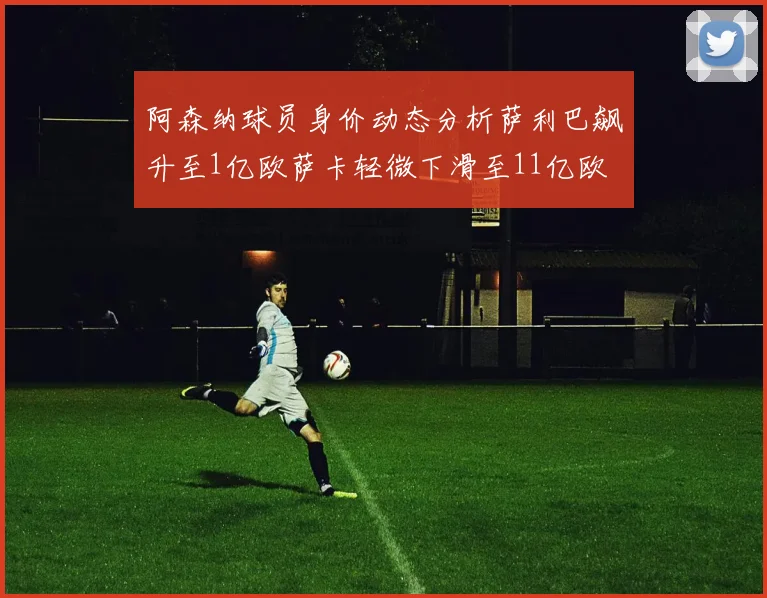 阿森纳球员身价动态分析萨利巴飙升至1亿欧萨卡轻微下滑至11亿欧